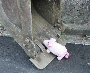 PIG02.JPG - 77,730BYTES