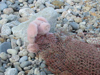 PIG07.JPG - 117,370BYTES